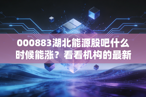 000883湖北能源股吧什么时候能涨？看看机构的最新持仓情况和看法！