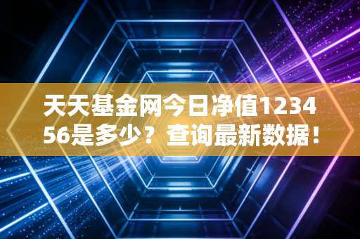 天天基金网今日净值123456是多少？查询最新数据！
