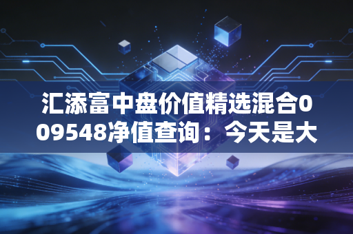 汇添富中盘价值精选混合009548净值查询：今天是大涨还是大跌？