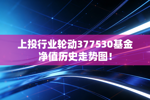 上投行业轮动377530基金净值历史走势图！