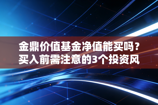 金鼎价值基金净值能买吗？买入前需注意的3个投资风险点
