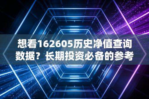 想看162605历史净值查询数据?长期投资必备的参考技巧!