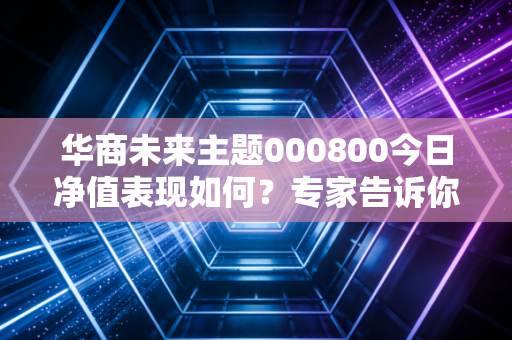 华商未来主题000800今日净值表现如何？专家告诉你该不该投！