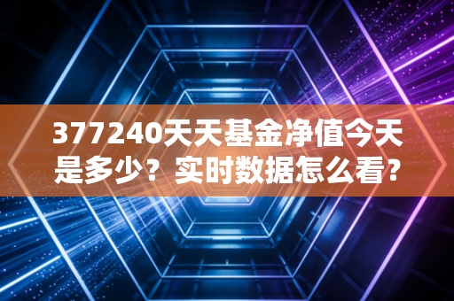 377240天天基金净值今天是多少？实时数据怎么看？