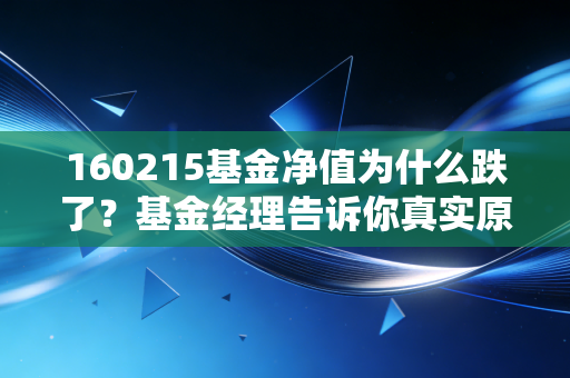 160215基金净值为什么跌了？基金经理告诉你真实原因！