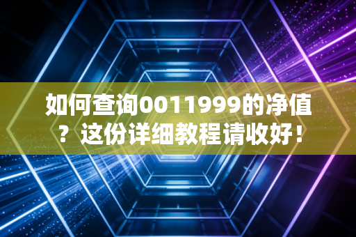 如何查询0011999的净值？这份详细教程请收好！