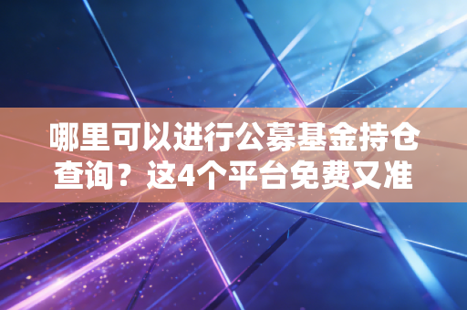 哪里可以进行公募基金持仓查询？这4个平台免费又准确可靠！