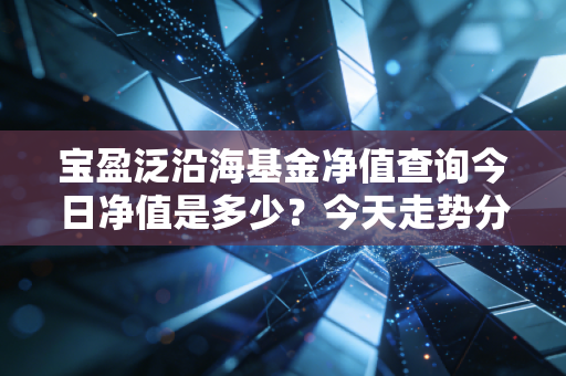 宝盈泛沿海基金净值查询今日净值是多少？今天走势分析！