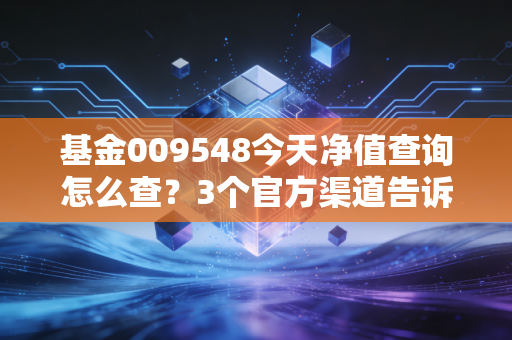 基金009548今天净值查询怎么查？3个官方渠道告诉你！
