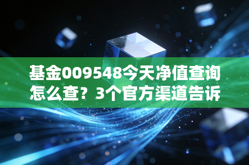 基金009548今天净值查询怎么查？3个官方渠道告诉你！