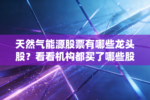 天然气能源股票有哪些龙头股？看看机构都买了哪些股票！