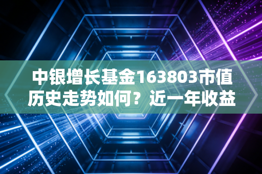 中银增长基金163803市值历史走势如何？近一年收益率分析！