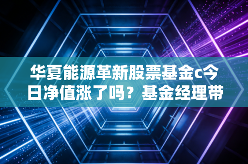 华夏能源革新股票基金c今日净值涨了吗？基金经理带你深度解读！