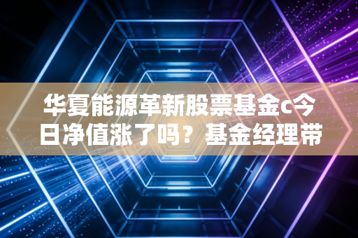 华夏能源革新股票基金c今日净值涨了吗？基金经理带你深度解读！