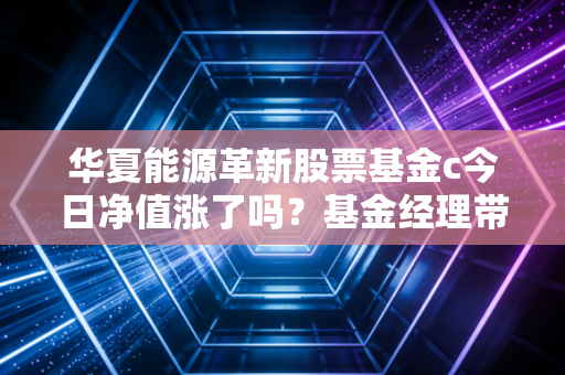 华夏能源革新股票基金c今日净值涨了吗？基金经理带你深度解读！