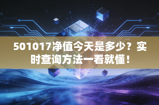 501017净值今天是多少？实时查询方法一看就懂！