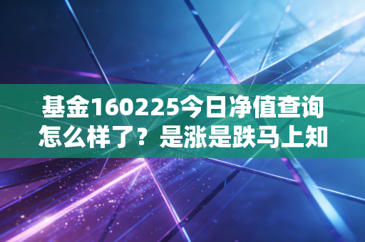 基金160225今日净值查询怎么样了？是涨是跌马上知道！