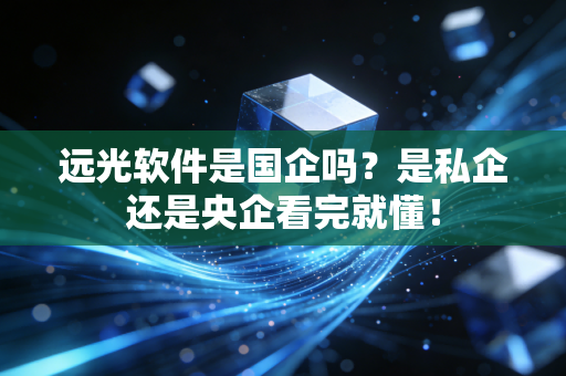 远光软件是国企吗？是私企还是央企看完就懂！