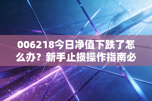 006218今日净值下跌了怎么办？新手止损操作指南必看！