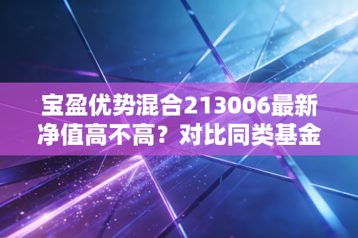 宝盈优势混合213006最新净值高不高？对比同类基金就知道买不买！