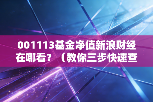 001113基金净值新浪财经在哪看？（教你三步快速查询）