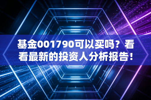 基金001790可以买吗？看看最新的投资人分析报告！