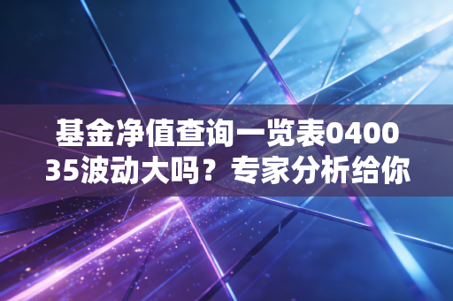 基金净值查询一览表040035波动大吗？专家分析给你听！