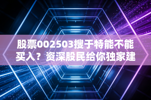 股票002503搜于特能不能买入？资深股民给你独家建议！