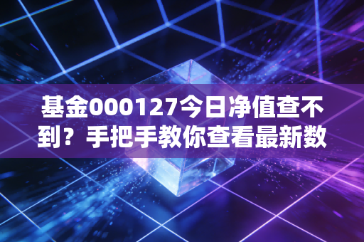基金000127今日净值查不到？手把手教你查看最新数据