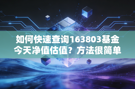 如何快速查询163803基金今天净值估值？方法很简单！
