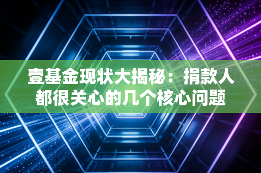 壹基金现状大揭秘：捐款人都很关心的几个核心问题