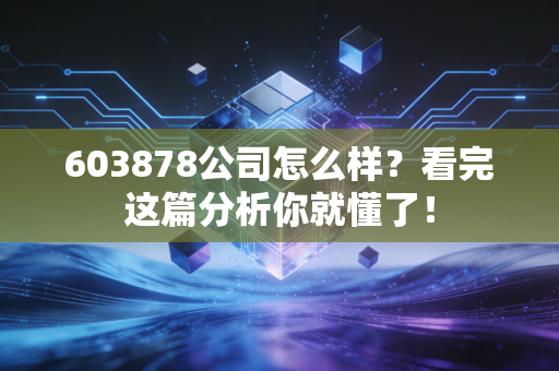 603878公司怎么样？看完这篇分析你就懂了！
