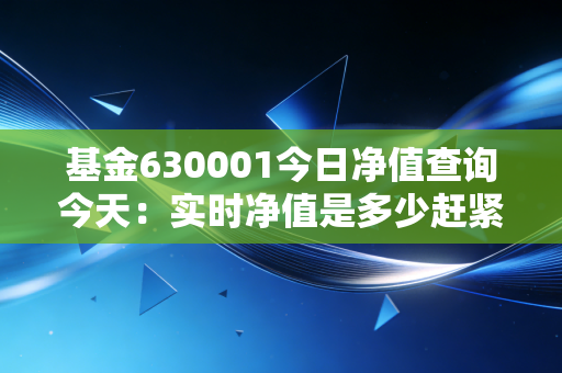 基金630001今日净值查询今天：实时净值是多少赶紧看