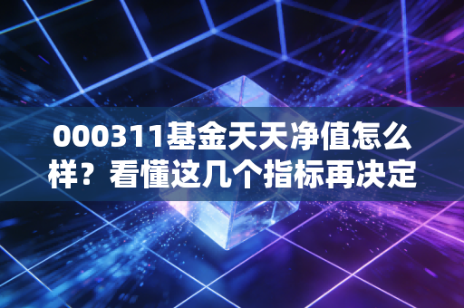000311基金天天净值怎么样？看懂这几个指标再决定买不买