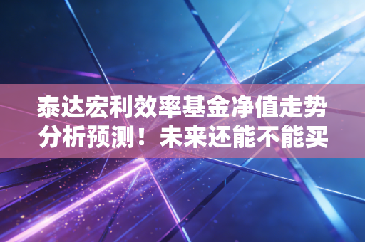 泰达宏利效率基金净值走势分析预测!未来还能不能买入?