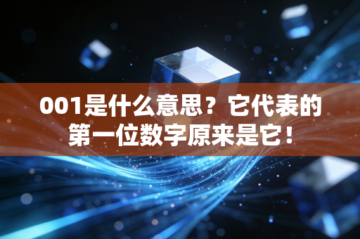 001是什么意思？它代表的第一位数字原来是它！