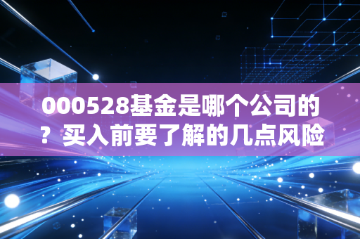 000528基金是哪个公司的？买入前要了解的几点风险！