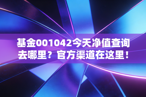 基金001042今天净值查询去哪里？官方渠道在这里！