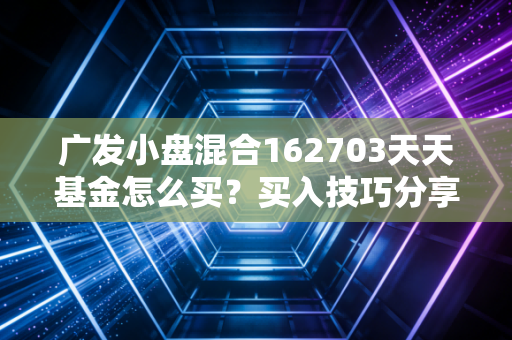 广发小盘混合162703天天基金怎么买?买入技巧分享!