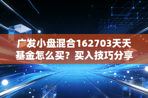 广发小盘混合162703天天基金怎么买?买入技巧分享!