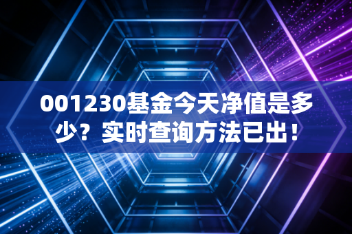 001230基金今天净值是多少？实时查询方法已出！