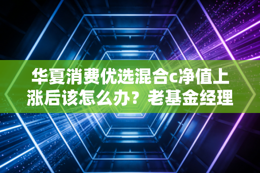 华夏消费优选混合c净值上涨后该怎么办？老基金经理分享操作策略！