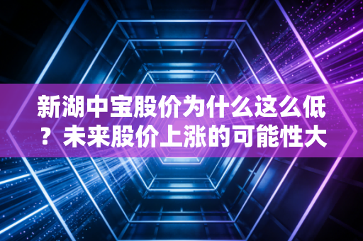 新湖中宝股价为什么这么低？未来股价上涨的可能性大吗？