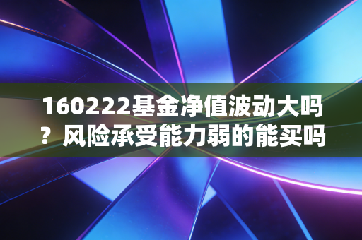 160222基金净值波动大吗？风险承受能力弱的能买吗？