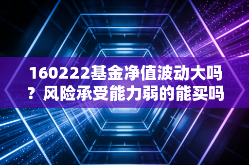 160222基金净值波动大吗？风险承受能力弱的能买吗？