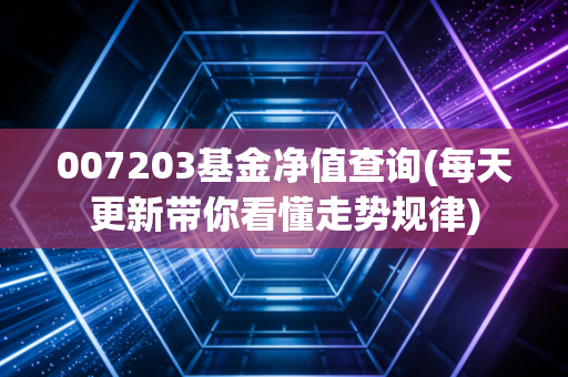007203基金净值查询(每天更新带你看懂走势规律)