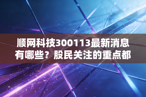 顺网科技300113最新消息有哪些？股民关注的重点都在这