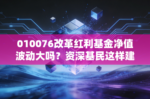 010076改革红利基金净值波动大吗？资深基民这样建议