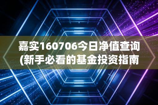 嘉实160706今日净值查询(新手必看的基金投资指南)
