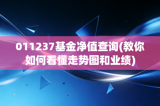 011237基金净值查询(教你如何看懂走势图和业绩)